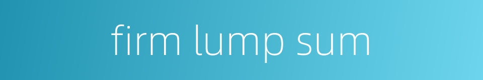 firm lump sum的同义词