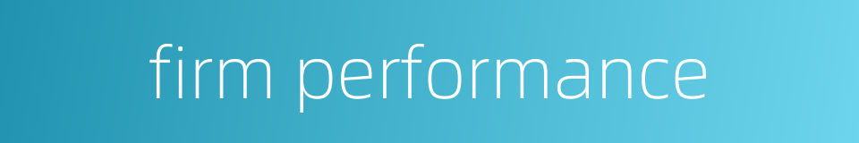 firm performance的同义词