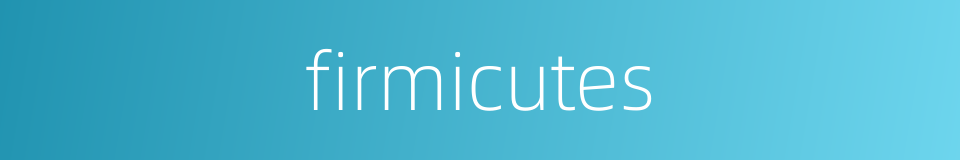 firmicutes的同义词
