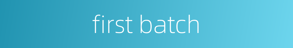 first batch的同义词