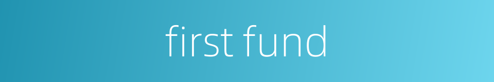 first fund的同义词
