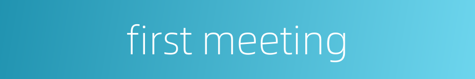 first meeting的同义词