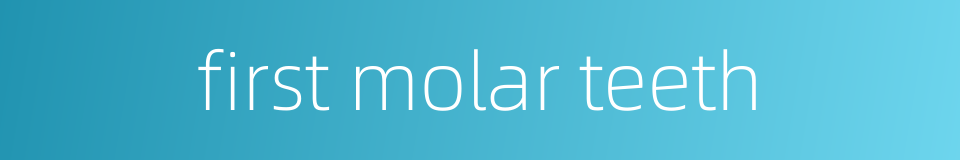first molar teeth的同义词