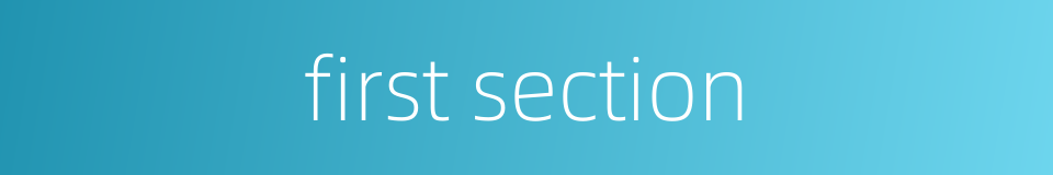 first section的同义词