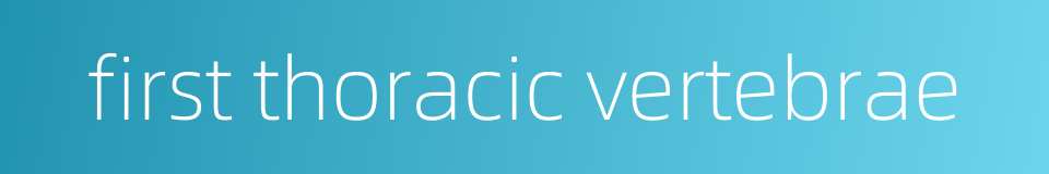 first thoracic vertebrae的同义词