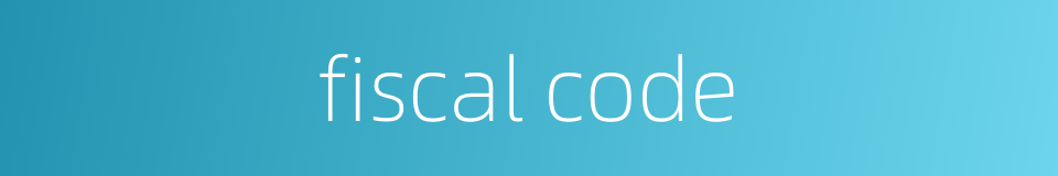 fiscal code的同义词