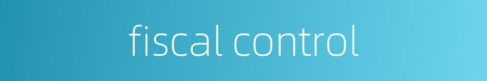 fiscal control的同义词