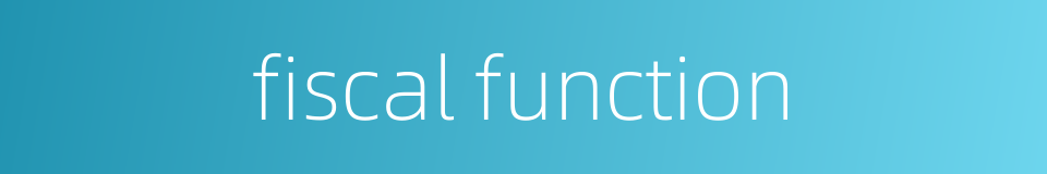 fiscal function的同义词