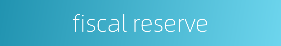 fiscal reserve的同义词
