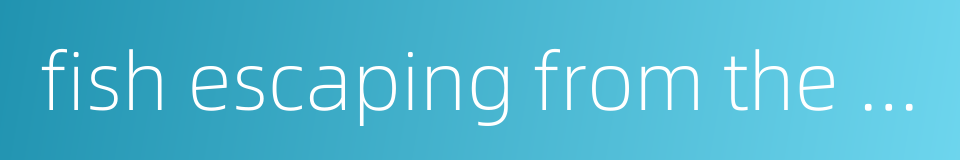 fish escaping from the net的同义词