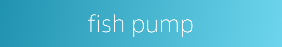 fish pump的同义词