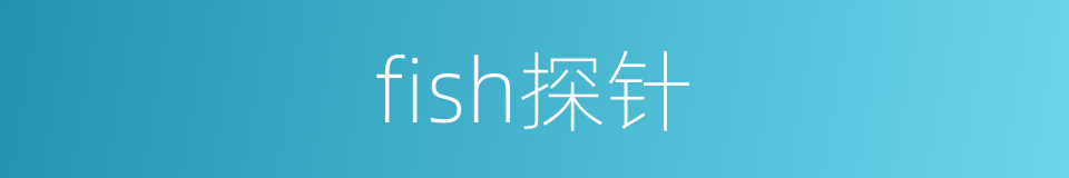 fish探针的同义词