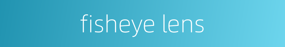 fisheye lens的同义词