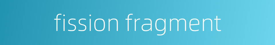 fission fragment的同义词