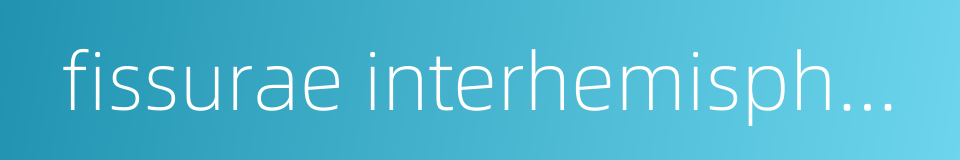 fissurae interhemisphaerica的同义词