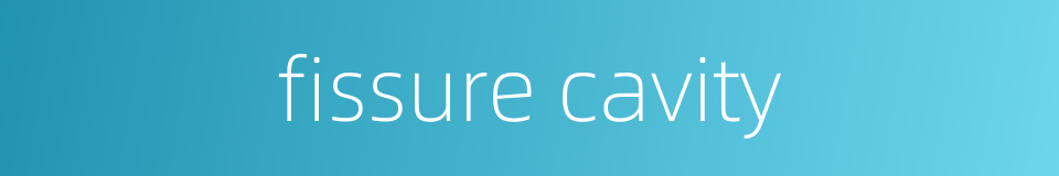 fissure cavity的同义词