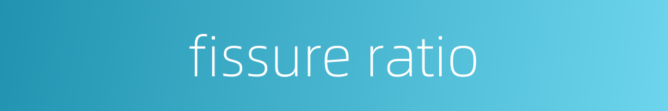 fissure ratio的同义词
