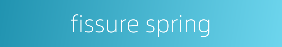 fissure spring的同义词