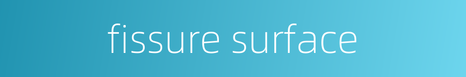 fissure surface的同义词