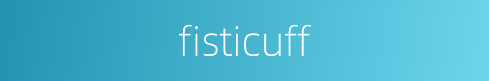 fisticuff的同义词