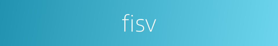 fisv的同义词