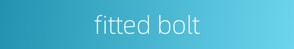 fitted bolt的同义词