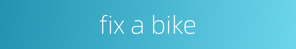 fix a bike的同义词