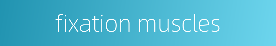 fixation muscles的同义词