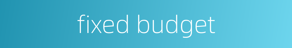 fixed budget的同义词