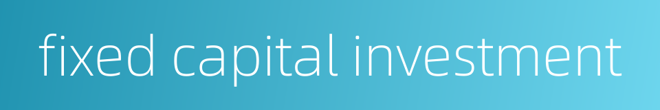 fixed capital investment的同义词