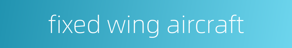 fixed wing aircraft的同义词