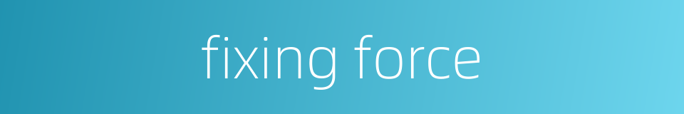 fixing force的同义词