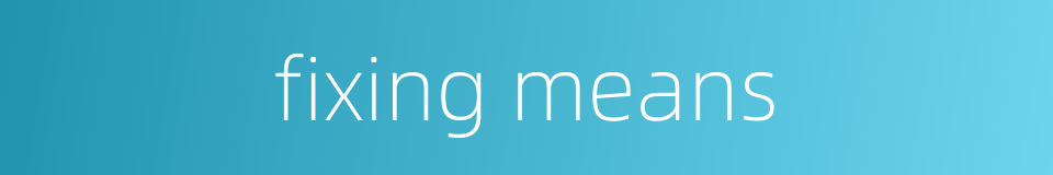 fixing means的同义词