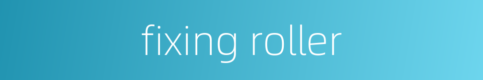 fixing roller的同义词