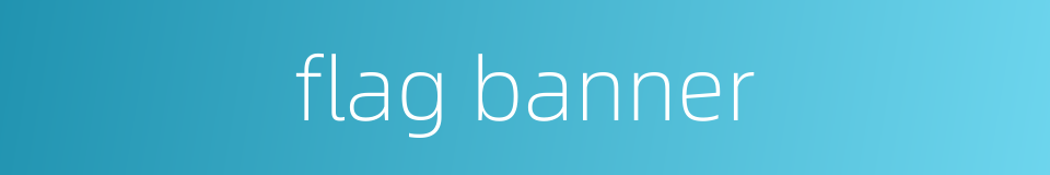 flag banner的同义词