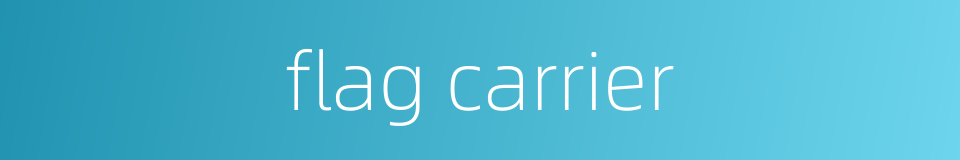 flag carrier的同义词