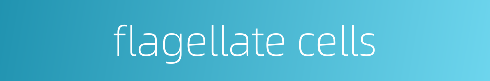 flagellate cells的同义词