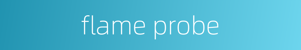 flame probe的同义词