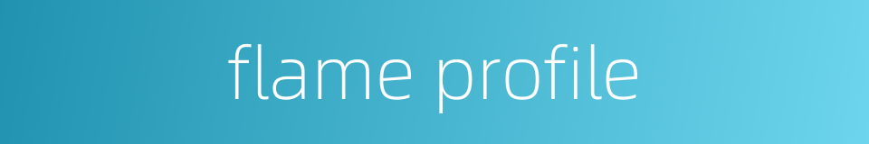 flame profile的同义词