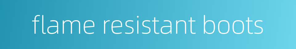 flame resistant boots的同义词