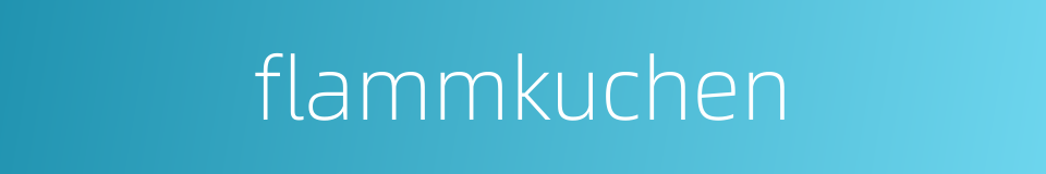 flammkuchen的同义词