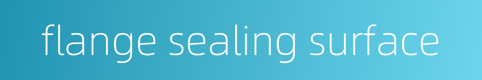 flange sealing surface的同义词