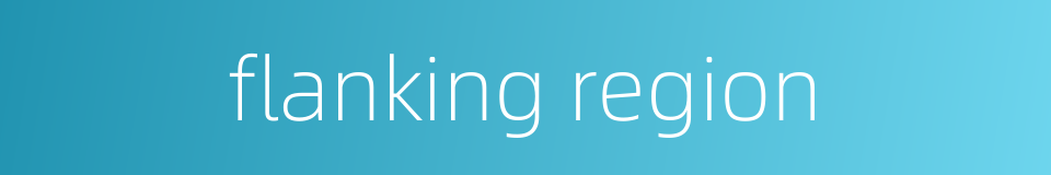 flanking region的同义词