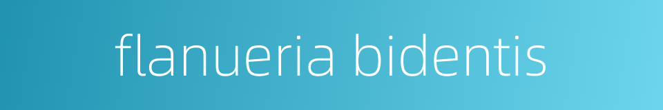 flanueria bidentis的同义词