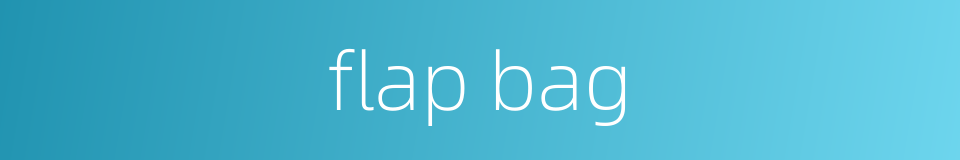 flap bag的同义词