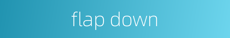 flap down的同义词