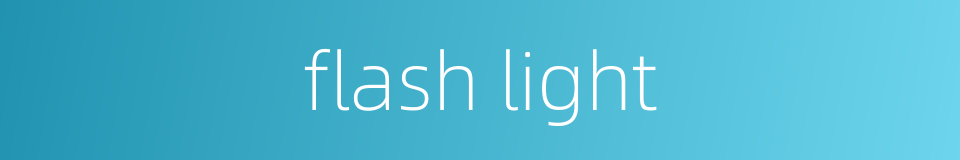 flash light的同义词