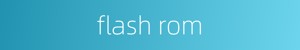 flash rom的同义词