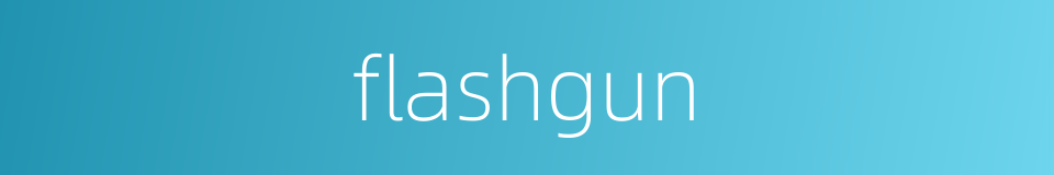 flashgun的同义词