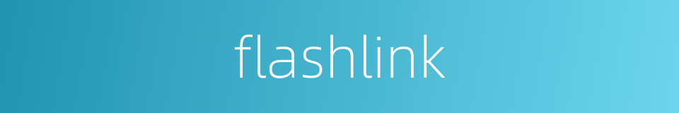 flashlink的同义词